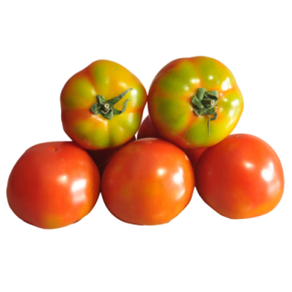 Moulya Tomato From Known You Seed (India)-KYI